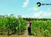 Dukung Program Asta Cita Presiden RI di Berau, Polsek Talisayan Polres Berau Cek Lahan Ketahanan Pangan di Kampung Campur Sari