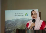 Jadi Contoh Perhutanan Sosial Di Kaltim, Pemkab Berau Upayakan Tekan Deforestasi Hutan Alam
