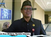 Jumlah Tenaga Kebersihan Di Berau Kurang, DLHK: Beban Kerja Jadi Bertambah