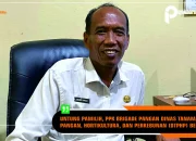 DTPHP Berau Terus Gencarkan Program Brigade Pangan, Mendukung Swasemda Pangan Di Berau