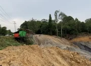 Segera Laporkan Ke Prabowo, Aktivis Lingkungan Prihatin Lobang Abadi Bekas Tambang Di Hutan Kota Tangap