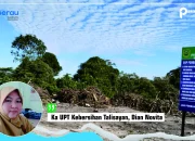 Kegiatan Rutin Pemindahan Sampah, UPTD Kebersihan Talisayan Sayangkan Oknum Buang Sampah Tidak Pada Tempatnya