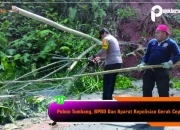 BPBD Dan Aparat Polsek Kelay Gerak Cepat Tangani Pohon Tumbang Di KM 102 Berau-Samarinda