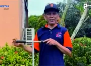Revolusi Lingkungan Menuju Eco Office Atau Green Office, Dispusip Kenalkan Perpustakaan Hijau