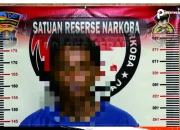 Polres Berau Kembali Ungkap 35,56 Gram Sabu, Tangkap Seorang Pengedar di Tanjung Redeb