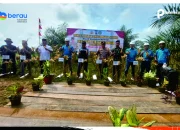 Polsek Segah Hadiri Panen Jagung Perdana PT. MIP di Kampung Long Ayan