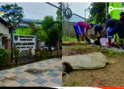 Rayakan Idul Adha 1446 H, Kelurahan Rinding Bantai Hewan Kurban