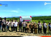Panen Jagung Bersama Di PT. Buana Murdantara Biatan