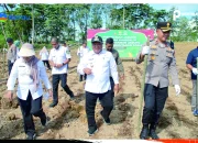 Dukung Program Swasembada Pangan, Wabup Ikuti Tanam Jagung Serentak Di Binungan