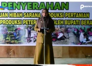 Bupati Ungkapkan Pemkab Berau Tengah Fokus Peningkatan Sektor Pertanian