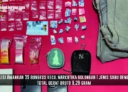 Sat Resnarkoba Polres Berau Tangkap Pengedar Di Sambaliung, 8,29 Gram Sabu Diamankan