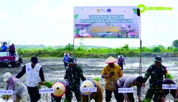 Tanam Padi Serentak Cetak Sawah Rakyat di Labanan Jaya, Pemkab Tambah 100 Hektare