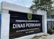 Diskan Berau Matangkan Sipatin, Perkuat Tata Kelola Perikanan Sungai Berbasis Kawasan