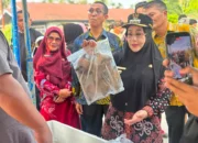 Pasar Ikan Murah Hadir Di Gunung Tabur, 2 Ton Ikan Dijual Harga Modal