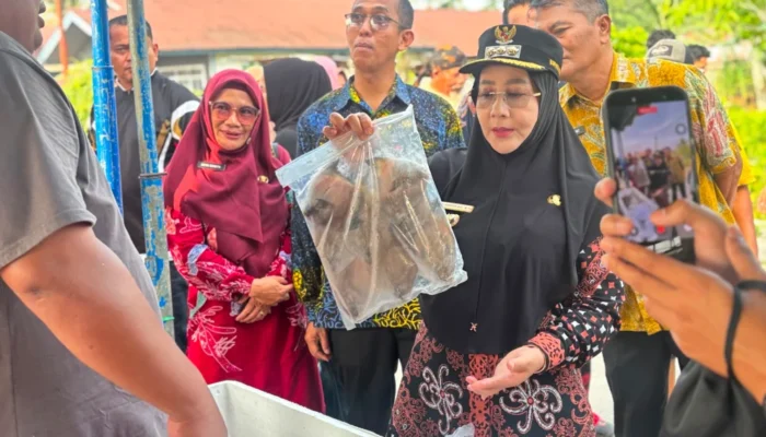 Pasar Ikan Murah Hadir Di Gunung Tabur, 2 Ton Ikan Dijual Harga Modal