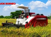 Imbangi Program Cetak Sawah Baru, Kementan Perkuat Sentra Padi Berau Dengan Mesin Panen Modern